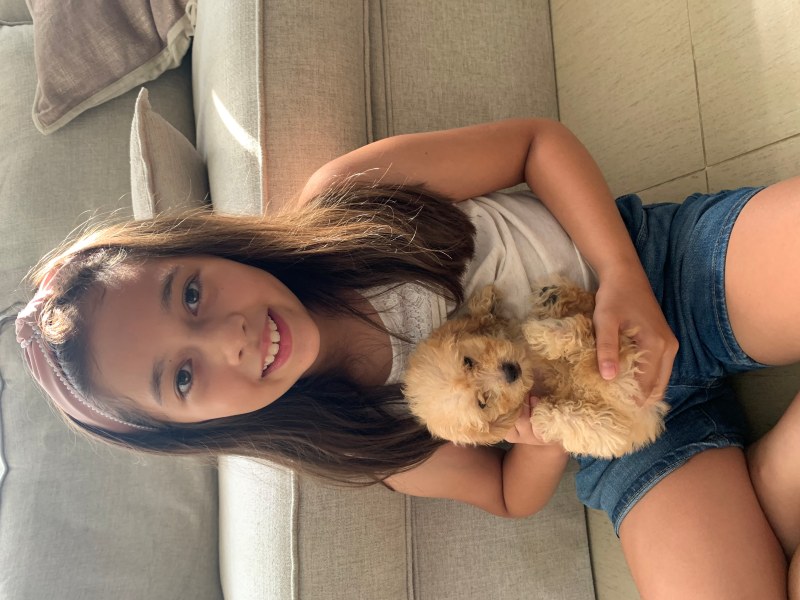 Alba croushing down on the lawn with Charlie as a puppy